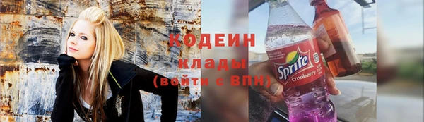 дурь Алексин