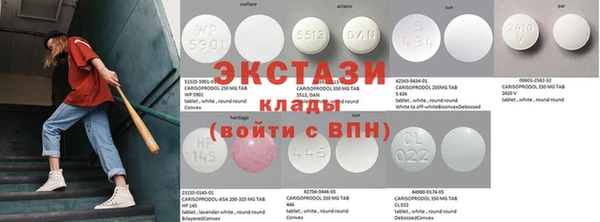 крисы Алзамай
