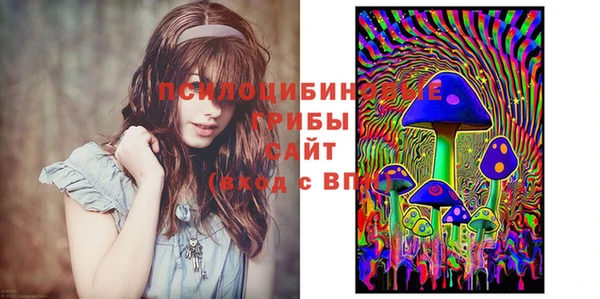 крисы Алзамай