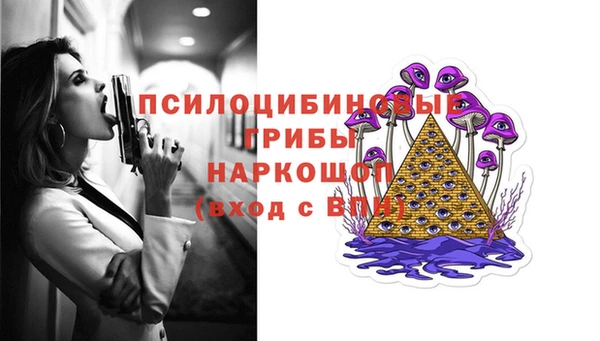 мдпв Нязепетровск